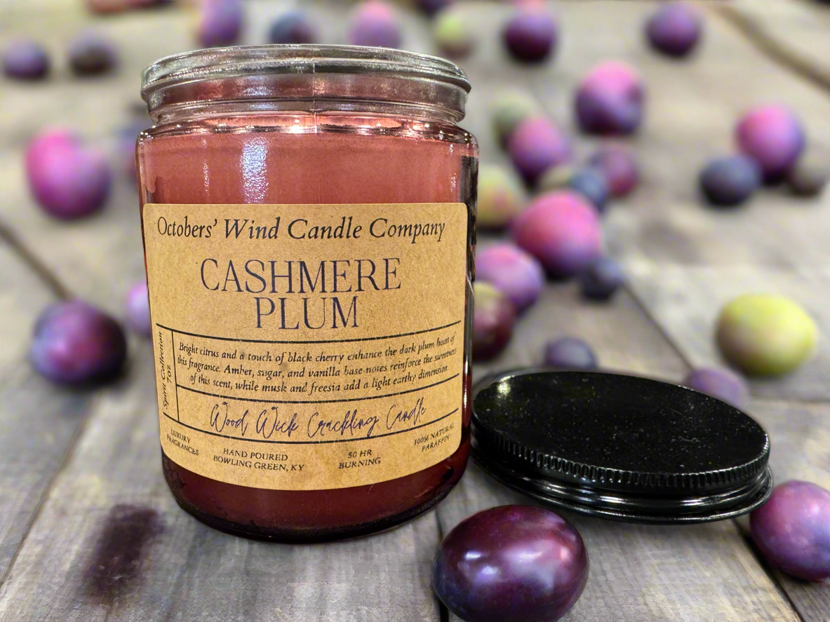 Cashmere Plum Candle